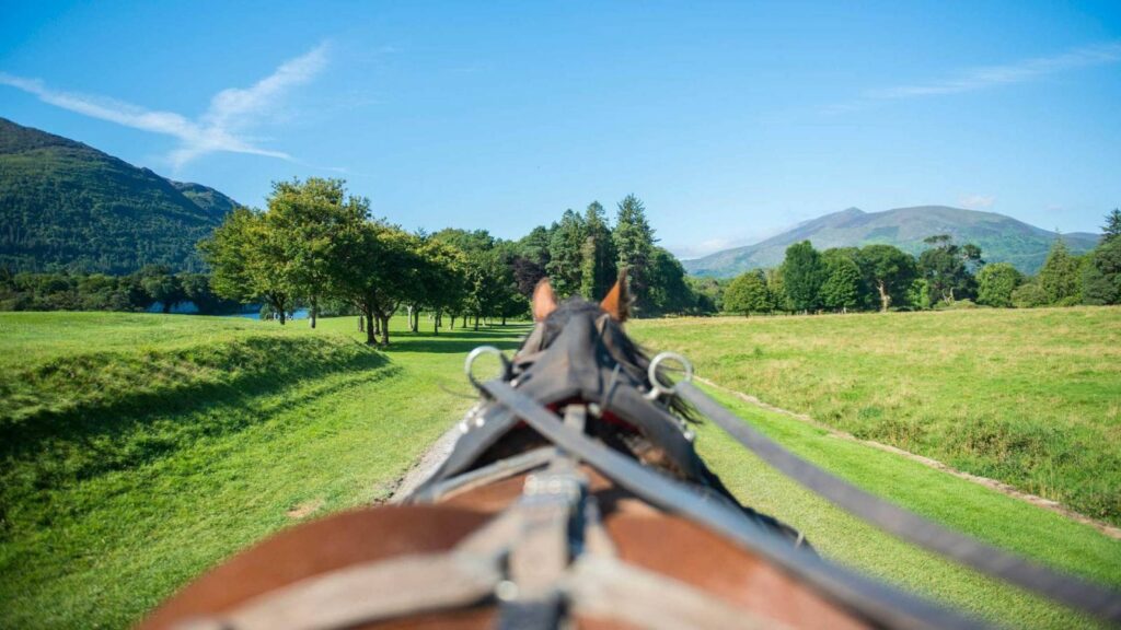 View from behind a horse pulling a carriage through a grassy path with trees on the sides. Mountains are visible in the background under a clear blue sky.