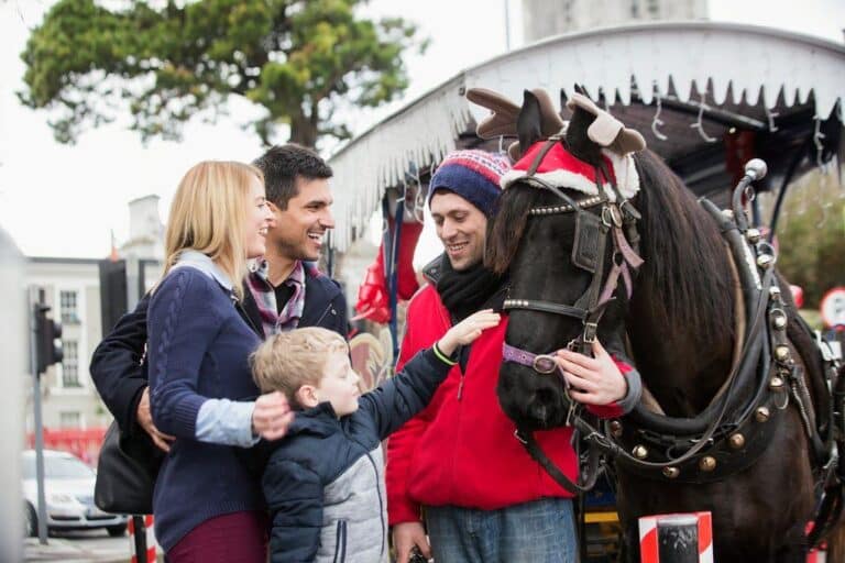 Family Sleigh Ride Experience