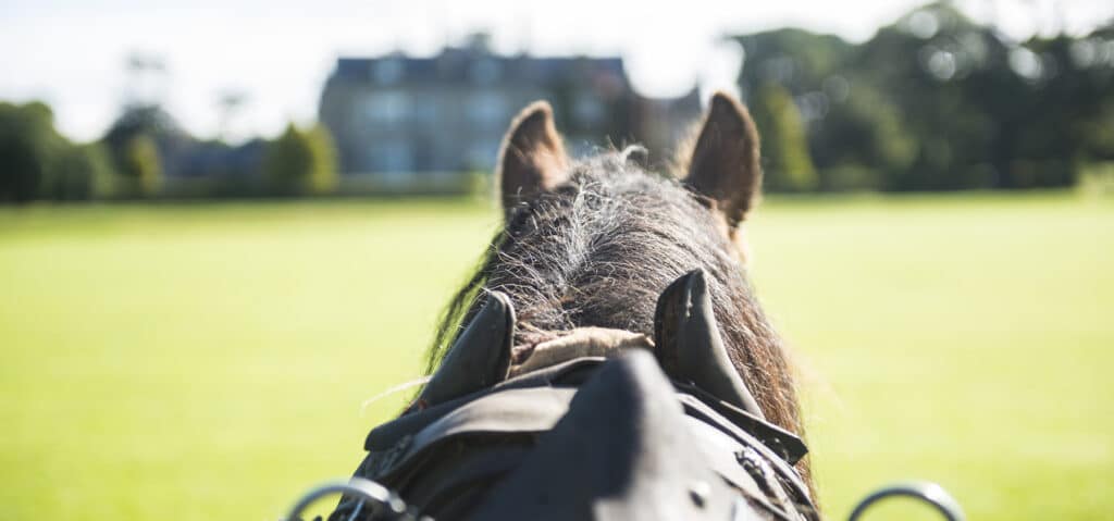 View from behind a horse with its ears visible, looking towards a mansion and trees in the distance.