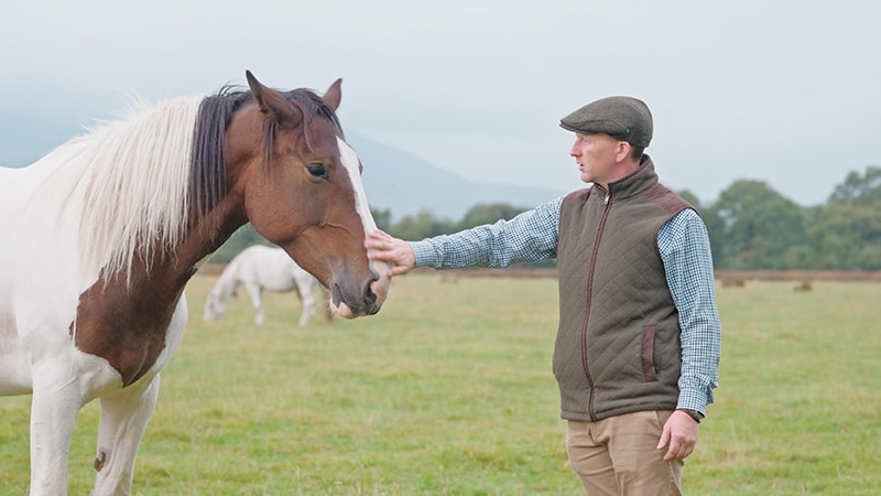 Man petting a horse in a grassy field.