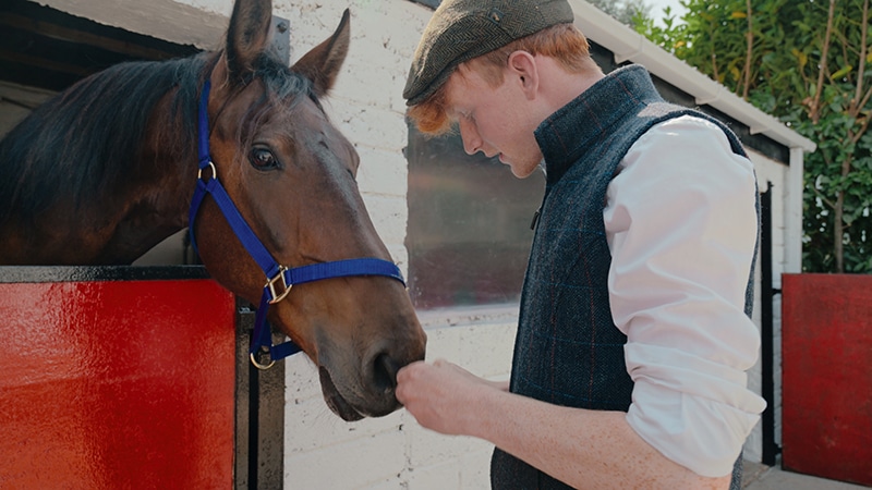 A person in a cap feeds a brown horse in a stable.