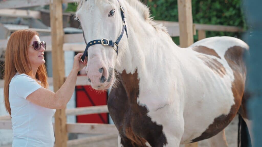 Woman petting a brown and white horse in a paddock.