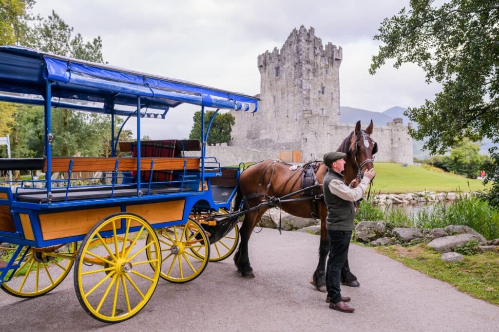 Horse-drawn carriage near a stone castle, with a person in a hat admiring the horse.