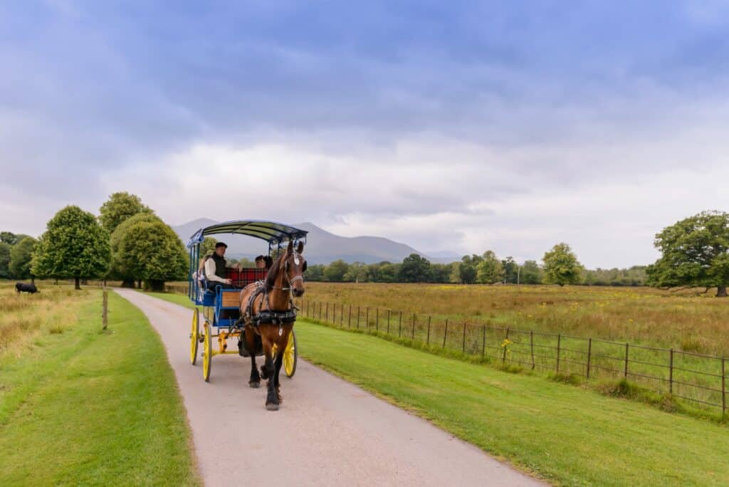 A horse-drawn carriage on a country road with fields and mountains in the background.