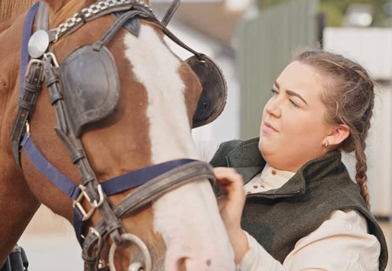 A person adjusting a harness on a horse outdoors.