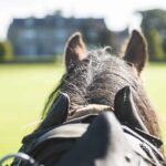 View from behind a horse with its ears visible, looking towards a mansion and trees in the distance.