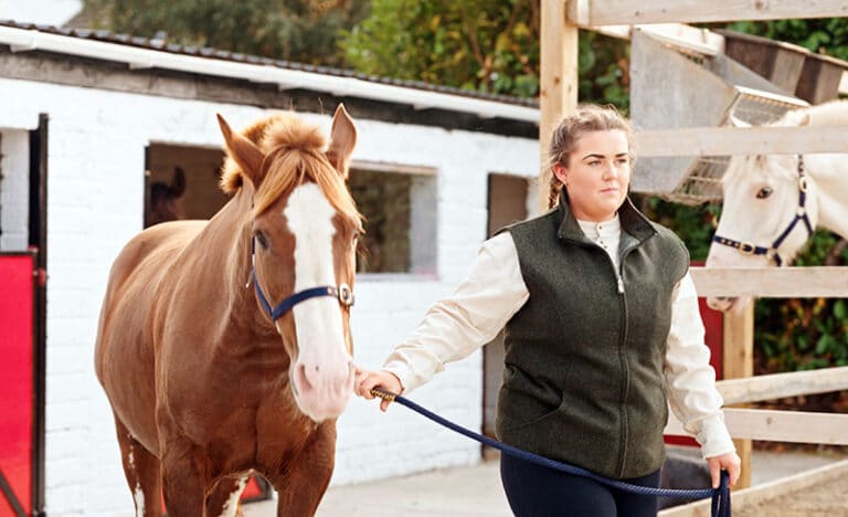 Person leading a brown horse on a path near a stable.