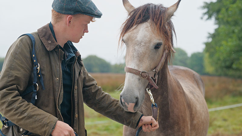 Person in a cap gently handling a horse in a grassy field.