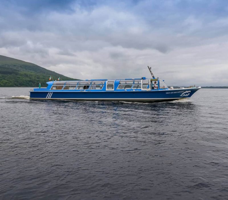 A blue tour boat sails on a lake under a cloudy sky, with a forested hill in the background.